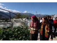 Büyükşehirden 121 çiftçiye 212 bin 400 metrekare sera naylonu desteği