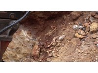 Antalya’da belediye kazısında kemik parçaları bulundu