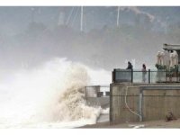 Dev dalgalar sahili dövdü: Martılar balık, define avcıları kıymetli eşya aradı