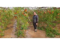 Kumluca’da hortum seraları parçaladı