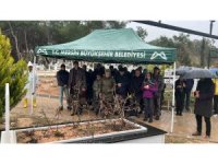 Mersin’de hayatını kaybeden keman sanatçısı Laçin Akyol, mezarı başında anıldı