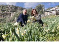 Mersin’de 4. Nergis Şenliği binlerce vatandaşı buluşturdu