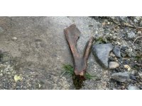 Eğirdir Gölü kıyısında bulunan kemiklerin hayvana ait olduğu değerlendiriliyor