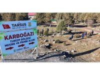 Tarsus’ta piknik sonrası doğa temizliği