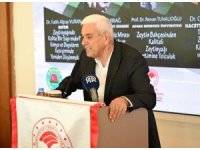 Antalya’da zeytinlik alan 20 yılda 2 katına çıktı