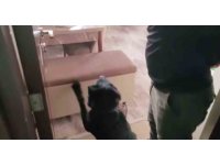 Evindeki sandıktan 814 gram eroin çıktı, "Satmıyorum, kullanıcıyım" dedi