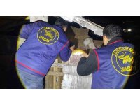 Jandarma kayıp 5 koyun için 3 iş yeri ve 9 meskene ait toplam 24 saatlik güvenlik kamerasını saniye saniye inceledi