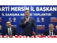 Cumhurbaşkanı Yardımcısı Yılmaz: "Türkiye Yüzyılı’nda teröre yer yok"