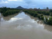 Adana’da şiddetli yağış, tarlaları sular altında bıraktı