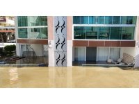 Taşan çaydaki işletme yıkıldı, sulara kapılmak üzere olan bir köpek son anda kurtarıldı