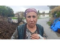 Selde mahsur kalan köpeği AKOM ekipleri kurtardı