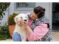 Antalya’da sokak hayvanları yeni sahiplerini bekliyor