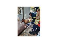 Hatay’da havalandırma boşluğuna düşen köpek kurtarıldı