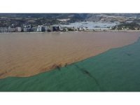 Derelerden Akdeniz’e akan sel suları kıyı şeridini çamura bürüdü