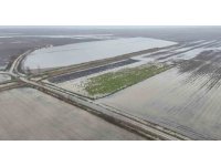 Sağanak yağmurdan sonra binlerce dönüm tarım arazisi sular altında kaldı