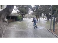 Manavgat Irmağı’nda su debisi yükseldi, işletmeleri su bastı