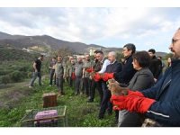 Tedavisi tamamlanan yırtıcı kuşlar özgürlüğe kanat çırptılar