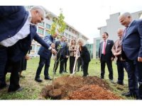AÜ İlahiyat Fakültesi bahçesine 100 ağaç dikildi