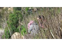 Engelli oğlu için falezlere çıktı, 2 saatte ikna edildi