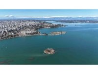 Adana’da gölde su seviyesi yükseldi, Sevgi Adası yolu kayboldu