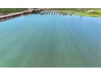 Adana’da sel suları tarım arazilerini sular altında bıraktı