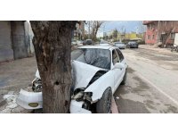 Ehliyetsiz sürücünün kontrolünü kaybettiği otomobil ağaca çarptı... O anlar kamerada