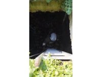 Atık su deposuna düşen kediyi kurtaran itfaiyeci, alkışlarla karşılandı