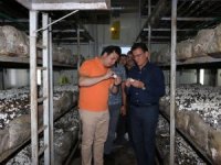 ATAY USLU: KORKUTELİ MANTARI TÜRKİYE MARKASIDIR 