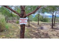 Vatandaşın ağaca astığı "Tabiat temiz kalsın" uyarısı yetmedi