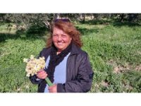 Mersin’de baharı yaşatan nergis çiçekleri gelir kaynağı oldu