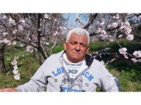 Mut’ta kayısı ağaçları adeta gelinliğe büründü