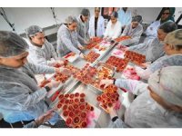 Mersin’de kan portakalı kadınların elinde değer kazanıyor