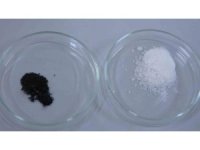 Isparta’da endemik bitkiden doğaya zarar vermeden kanserle mücadeleye umut olacak üretim modeli geliştiriliyor