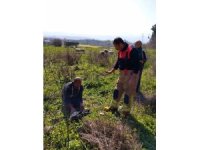 Defne’de kuyuya düşen kuzuyu itfaiye kurtardı