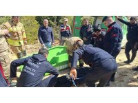 Uçuruma yuvarlanan hafriyat kamyonunun sürücüsü hayatını kaybetti