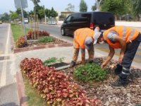 Kemer’de takades çiçeği açacak