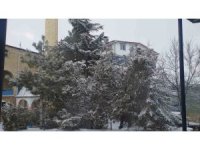 Adana’da kar sürprizi