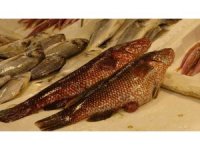 Hint Okyanusu’na özgü ‘portakal benekli lagos’ Mersin’de tezgaha çıktı