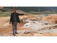 Akaryakıt karıştığı iddia edilen yağmur suyu birikintisinden su içen 43 küçükbaş hayvan telef oldu