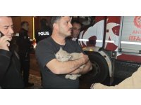 Korkutan yangında mahsur kalan kediyi itfaiye kurtardı