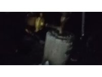 Adana’da 40 güvercin yangında telef oldu