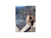 Yanan evden parasını kurtarmak isterken ağır yaralandı