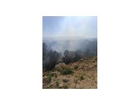 Samandağ’da ormanlık alanda çıkan yangın kısa sürede kontrol altına alındı