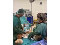 Tarsus Devlet Hastanesi’nde bir ilk: varis tedavisinde RF ablasyon uygulandı