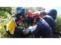 İncir ağacı hayatını kurtardı:  Falezlerde 20 metre yükseklikten düşen adam yaralandı