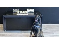 Ocak ayının en başarılı narkotik köpeği "Jardi" oldu