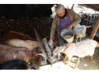 Korkuteli’nde yem ezme ve kırma makinesi üreticiye kolaylık sağlıyor