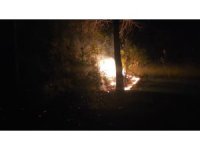 Alanya’da ormanlık alanda çıkan yangın büyümeden söndürüldü