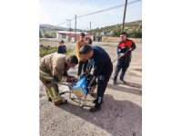 Mahsur kalan köpeklerin yardımına itfaiye yetişti