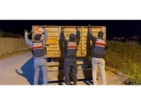 Adana’da kaçak makaron operasyonu: 1 tutuklama